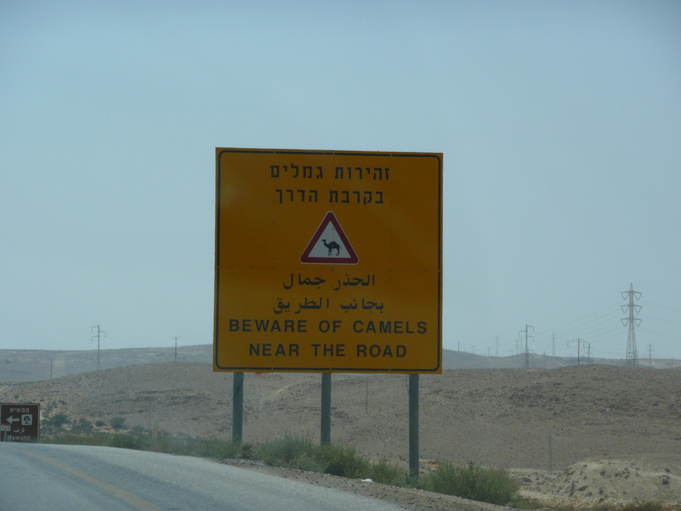 Beware of Camels