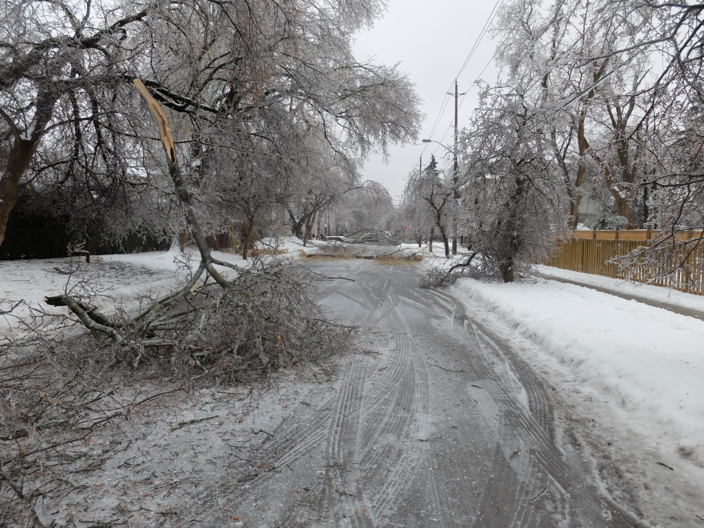 Ice Storm