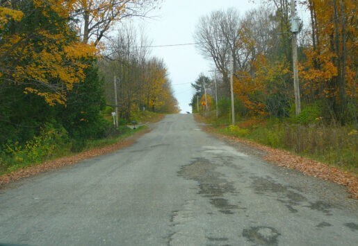 Rural Road in the Fall